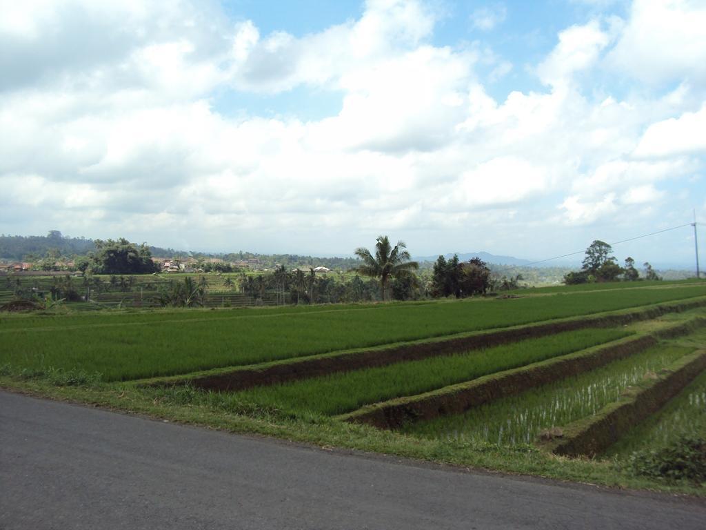 Teras Subak Jatiluwih Exterior photo