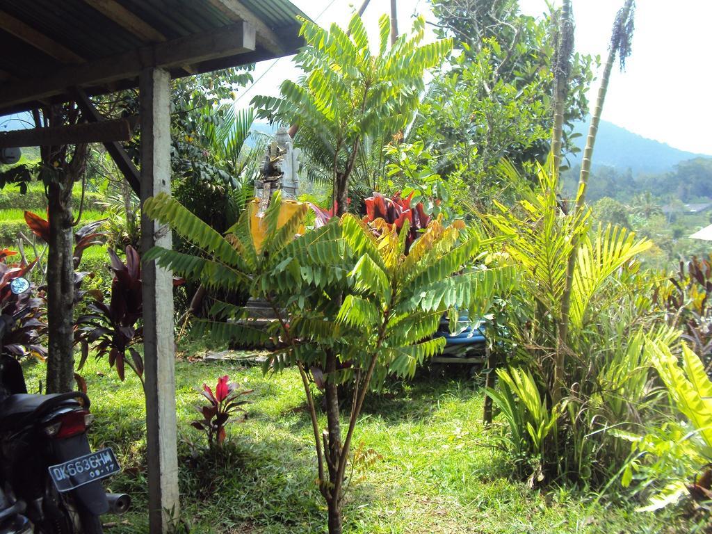 Teras Subak Jatiluwih Exterior photo