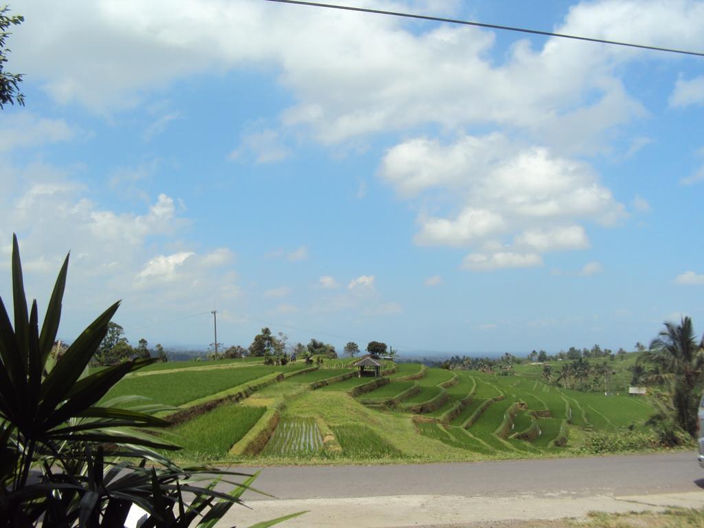 Teras Subak Jatiluwih Exterior photo